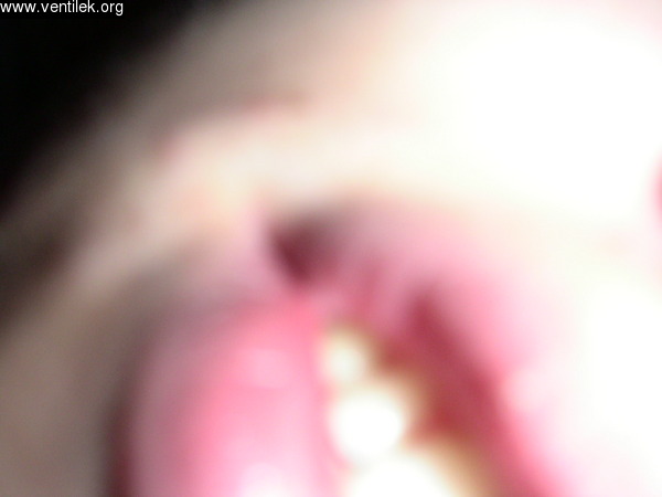 PICT0065.JPG