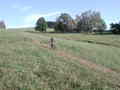 EPSON2003.08.17-0037.jpg
