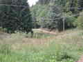 EPSON2003.08.21-0017.jpg

