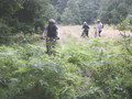 bara-PICT0168.jpg
