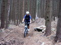 bara-PICT0172.jpg
