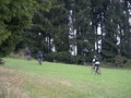 bara-PICT0177.jpg

