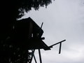bara-PICT0178.jpg
