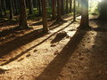 bara-PICT0186.jpg
