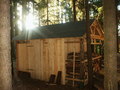 bara-PICT0187.jpg

