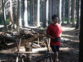 bara-PICT0200.jpg
