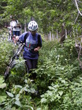 bara-PICT0207.jpg
