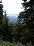 bara-PICT0212.jpg
