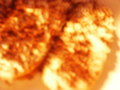 bara-PICT0220.jpg
