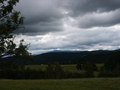 bara-PICT0229.jpg
