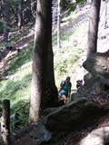 bara-PICT0189.jpg