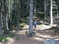 bara-PICT0192.jpg