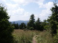 bara-PICT0201.jpg
