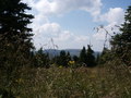 bara-PICT0202.jpg
