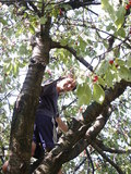bara-PICT0208.jpg
