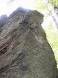bara-PICT0218.jpg
