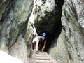 bara-PICT0219.jpg
