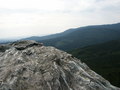 bara-PICT0226.jpg
