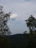 bara-PICT0227.jpg
