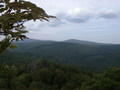 bara-PICT0230.jpg
