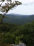 bara-PICT0232.jpg
