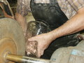 bara-PICT0257.jpg
