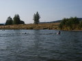 bara-PICT0263.jpg
