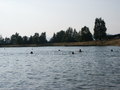 bara-PICT0264.jpg
