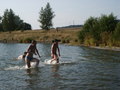 bara-PICT0265.jpg
