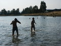 bara-PICT0266.jpg

