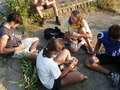 bara-PICT0278.jpg
