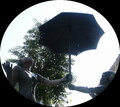bara-PICT0404.jpg
