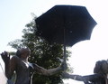 bara-PICT0405.jpg
