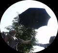 bara-PICT0412.jpg
