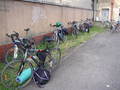 lisakP8070010.jpg
