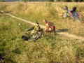 lisakP8120021.jpg
