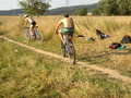 lisakP8120025.jpg
