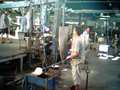 muty-0812_112157X.jpg
