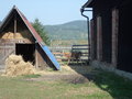 pavel-IM001079.jpg
