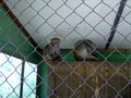 pavel-IM001085.jpg
