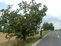 pavel-IM001089.jpg
