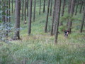 honza-IMG_0015.jpg