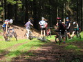 honza-IMG_0023.jpg
