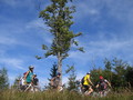 honza-IMG_0083.jpg
