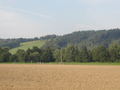 lisak-P8220002.jpg

