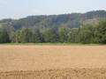 lisak-P8220003.jpg
