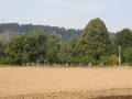 lisak-P8220004.jpg
