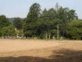 lisak-P8220005.jpg
