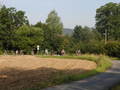 lisak-P8220006.jpg
