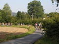 lisak-P8220007.jpg
